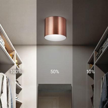 Immax NEO 07319L - Plafonnier LED dimmable RONDATE LED/18W/230V Ø 11,5 cm Wi-Fi Tuya or rose