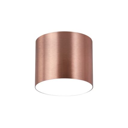 Immax NEO 07319L - Plafonnier LED dimmable RONDATE LED/18W/230V Ø 11,5 cm Wi-Fi Tuya or rose