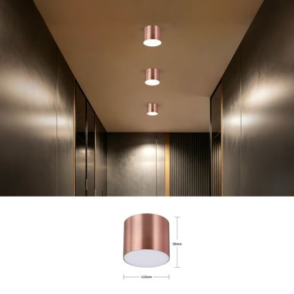 Immax NEO 07319L - Plafonnier LED dimmable RONDATE LED/18W/230V Ø 11,5 cm Wi-Fi Tuya or rose