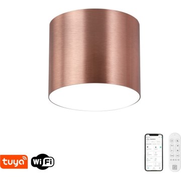 Immax NEO 07319L - Plafonnier LED dimmable RONDATE LED/18W/230V Ø 11,5 cm Wi-Fi Tuya or rose
