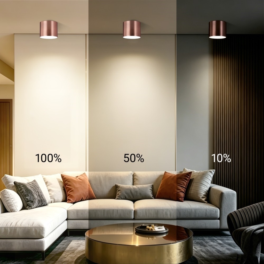 Immax NEO 07320L - Plafonnier LED dimmable RONDATE LED/32W/230V Ø 16,5 cm Wi-Fi Tuya, or rose