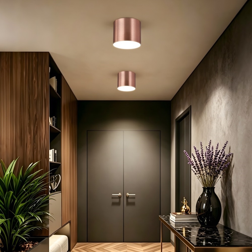 Immax NEO 07320L - Plafonnier LED dimmable RONDATE LED/32W/230V Ø 16,5 cm Wi-Fi Tuya, or rose