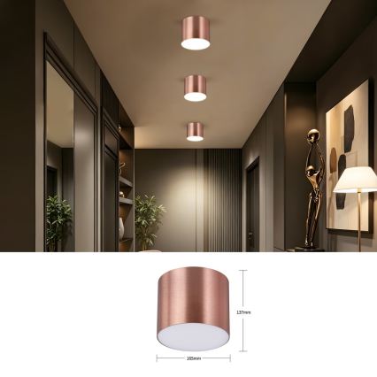 Immax NEO 07320L - Plafonnier LED dimmable RONDATE LED/32W/230V Ø 16,5 cm Wi-Fi Tuya, or rose