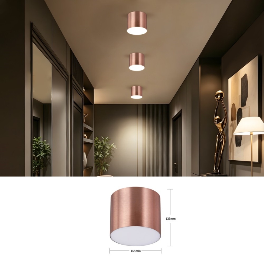 Immax NEO 07320L - Plafonnier LED dimmable RONDATE LED/32W/230V Ø 16,5 cm Wi-Fi Tuya, or rose