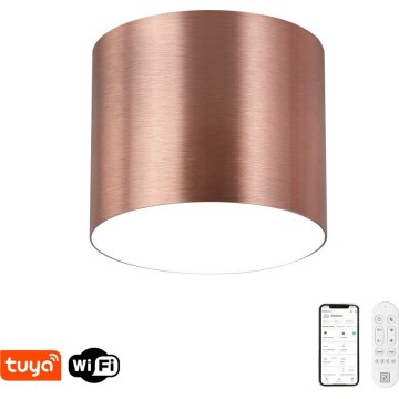 Immax NEO 07320L - Plafonnier LED dimmable RONDATE LED/32W/230V Ø 16,5 cm Wi-Fi Tuya, or rose