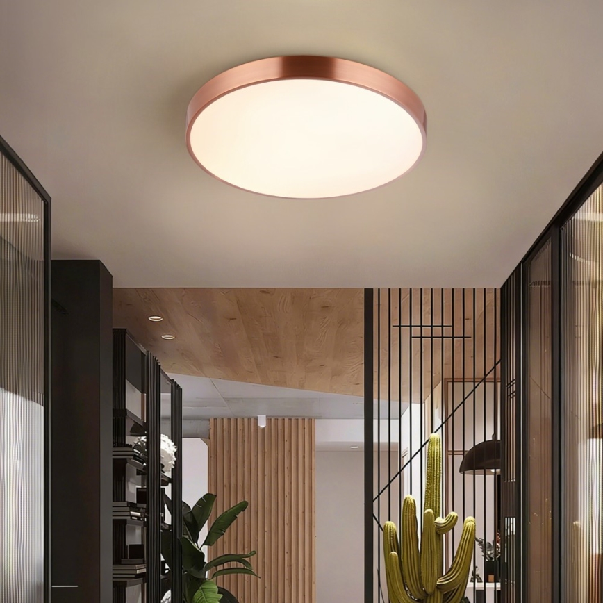Immax NEO 07321L - Plafonnier LED dimmable NEO LITE SEMPLICI LED/36W/230V Ø 40 cm cuivré + télécommande