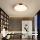 Immax NEO 07321L - Plafonnier LED dimmable NEO LITE SEMPLICI LED/36W/230V Ø 40 cm compatible Tuya, finition or rose + télécommande