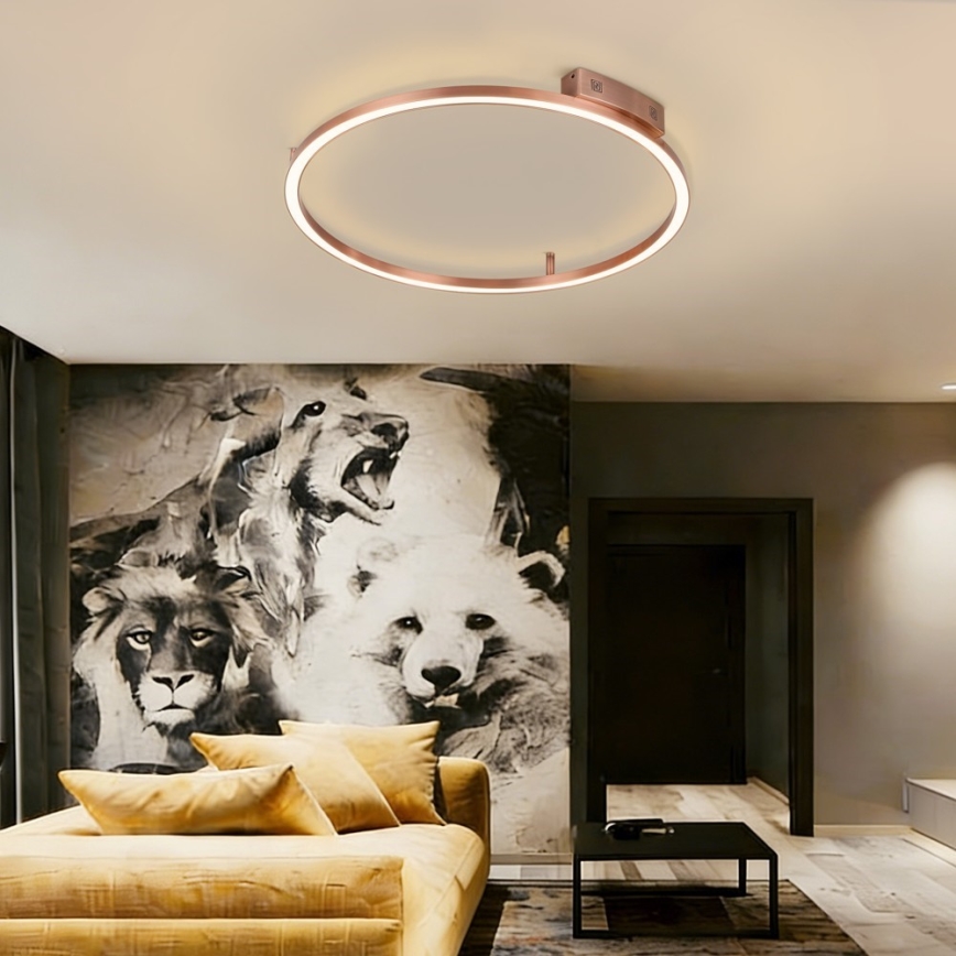 Immax NEO 07326-80C - Plafonnier LED dimmable FINO LED/55W/230V 80 cm Tuya or rose + télécommande