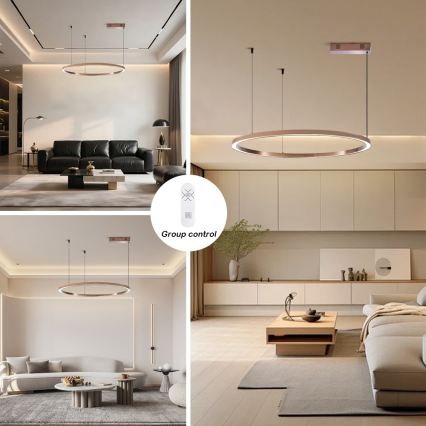 Immax NEO 07327L - Suspension LED dimmable sur câble FINO LED/55W/230V 80 cm Tuya or rose + télécommande