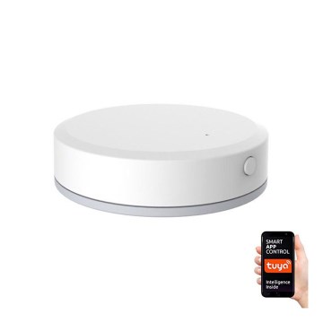 Immax NEO 07501L - Détecteur d'humidité et de température Zigbee 1xCR2032