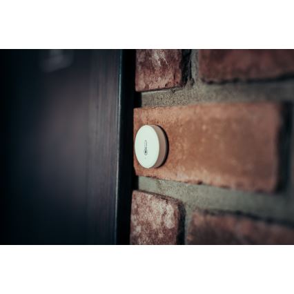 Immax NEO 07501L - Détecteur d'humidité et de température Zigbee 1xCR2032