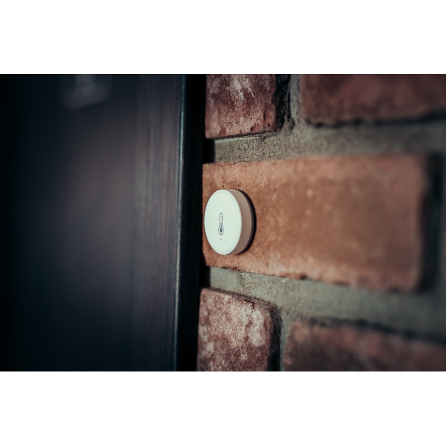 Immax NEO 07501L - Détecteur d'humidité et de température Zigbee 1xCR2032