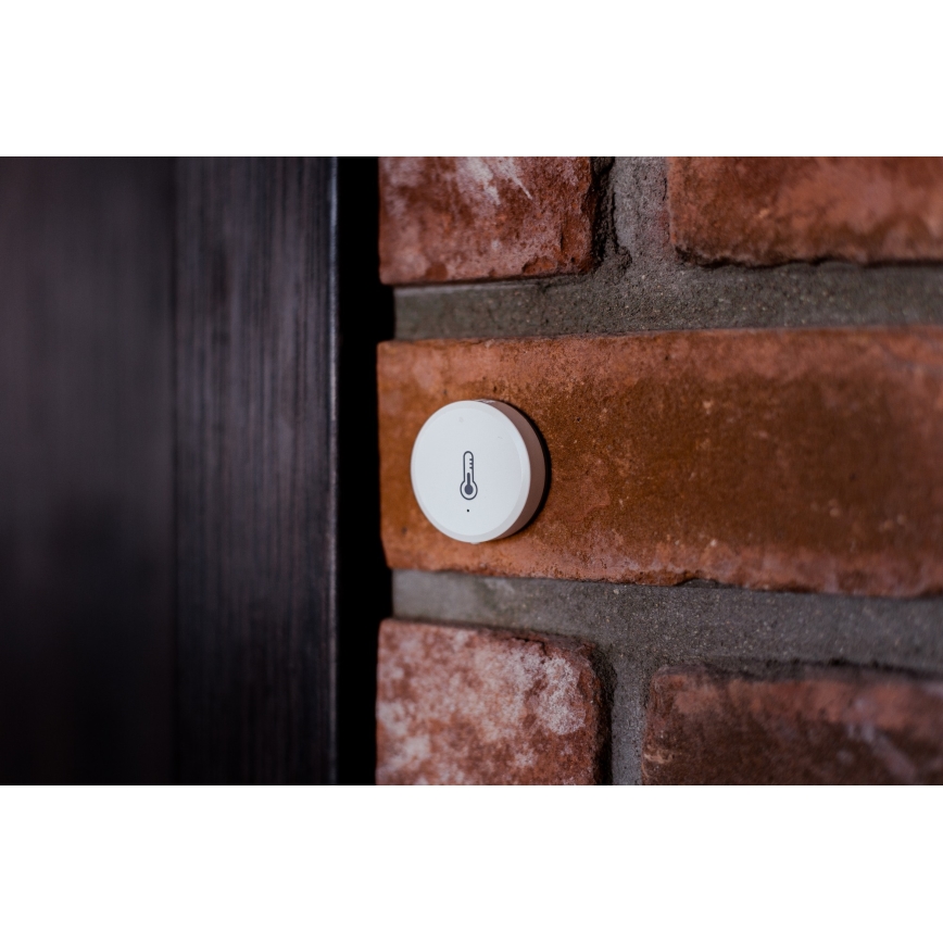 Immax NEO 07501L - Détecteur d'humidité et de température Zigbee 1xCR2032