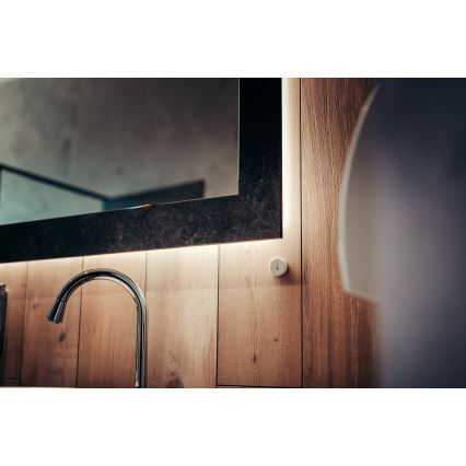 Immax NEO 07501L - Détecteur d'humidité et de température Zigbee 1xCR2032