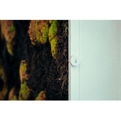 Immax NEO 07501L - Détecteur d'humidité et de température Zigbee 1xCR2032