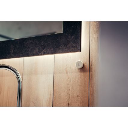 Immax NEO 07501L - Détecteur d'humidité et de température Zigbee 1xCR2032