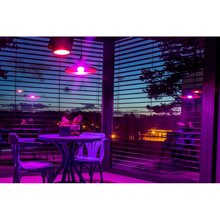 Immax NEO 07712L - LED RGB+CCT Ampoule à intensité variable NEO LITE Smart E27/9W/230V Wi-Fi Tuya 2200 - 6500K