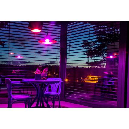 Immax NEO 07745L - Ampoule LED RGB+CCT dimmable E14/6W/230V 2700-6500K Wi-Fi Tuya