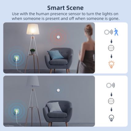 Immax NEO 07813L - Prise intelligente F 3500 W Wi-Fi