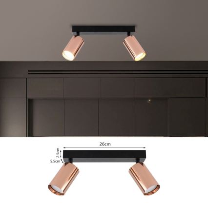 Immax NEO 08302L - Spot PUNTO 2xGU10/9W/230V or rose