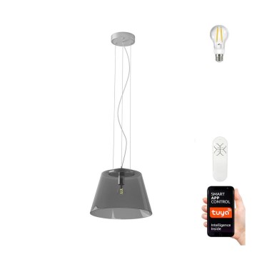Immax NEO - Suspension dimmable LED avec fil CONO 1xE27/8,5W/230V 32 cm + télécommande Immax NEO - Suspension dimmable LED avec fil CONO 1xE27/8,5W/230V 32 cm + télécommande