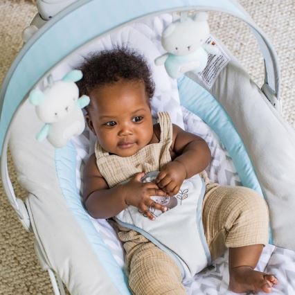 Ingenuity - Berceuse vibrante pour bébé avec une mélodie RAYLAN 3xLR14