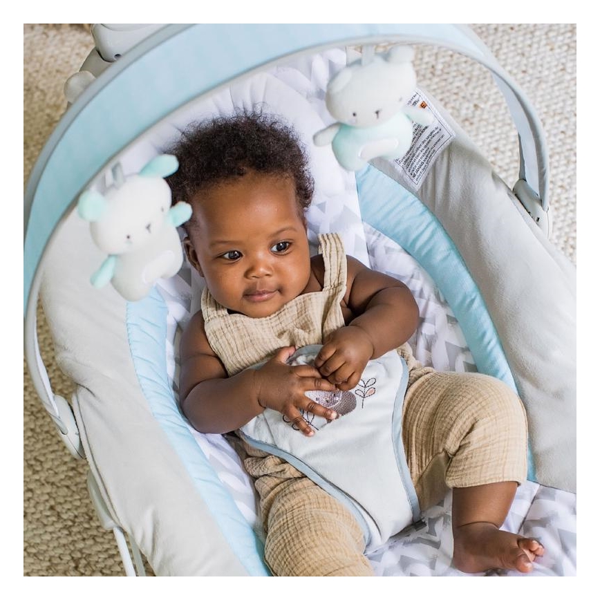 Ingenuity - Berceuse vibrante pour bébé avec une mélodie RAYLAN 3xLR14
