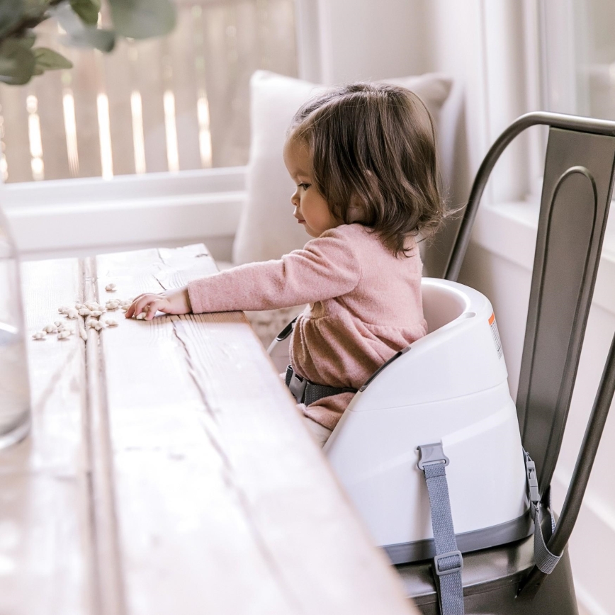 Ingenuity - Rehausseur pour table à manger 2en1 BABY BASE gris