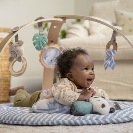 Ingenuity - Tapis d'éveil pour bébé ELEPHANT MARCH