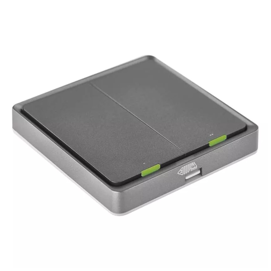 Interrupteur 2 bouton GoSmart 1xCR2430 Tuya noir