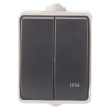 Interrupteur domestique double 250V/10A IP54