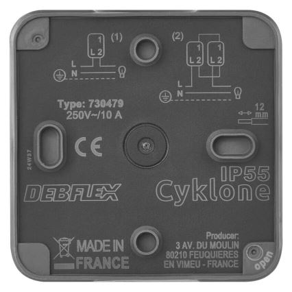 Interrupteur domestique pour courant alternatif 250 V / 10 A, IP55