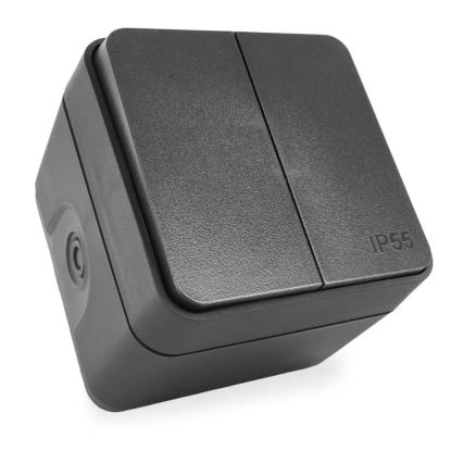 Interrupteur mural à 2 boutons va-et-vient n° 6+6 IP55 anthracite