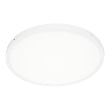 ITALUX - Plafonnier LED PELARO LED/36W/230V 4000K blanc