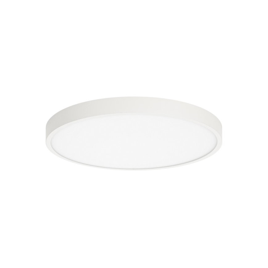 ITALUX - Plafonnier LED RIBERIO LED/30W/230V 3000K blanc