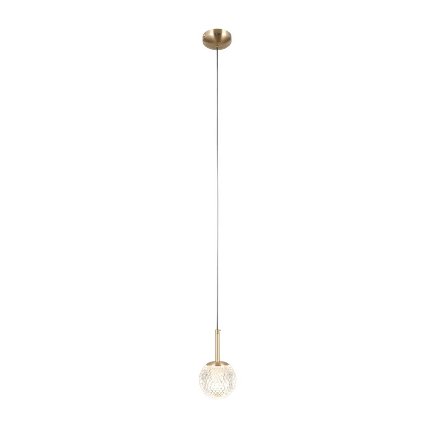 ITALUX - Suspension sur câble PADRI 1xG9/5W/230V dorée