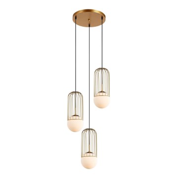 ITALUX - Suspension filaire MATTY 3xE27/40W/230V doré