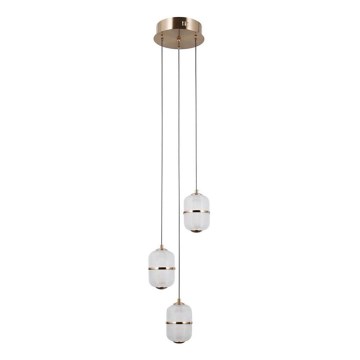 ITALUX - Suspension LED sur câble ALANI, 3x LED de 5 W, 230 V, 3000 K, finition dorée
