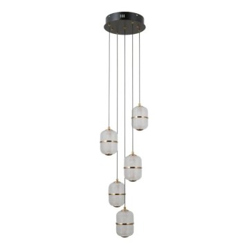 ITALUX - Suspension LED sur câble ALANI 5xLED/5,6W/230V 3000K noir/doré