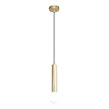ITALUX - Suspension sur câble FILANO 1xG9/5W/230V dorée