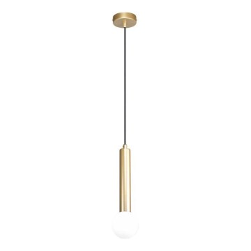 ITALUX - Suspension sur câble FILANO 1xG9/5W/230V dorée