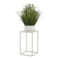 Jardinière 40x24 cm crème