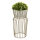 Jardinière 50x26 cm doré