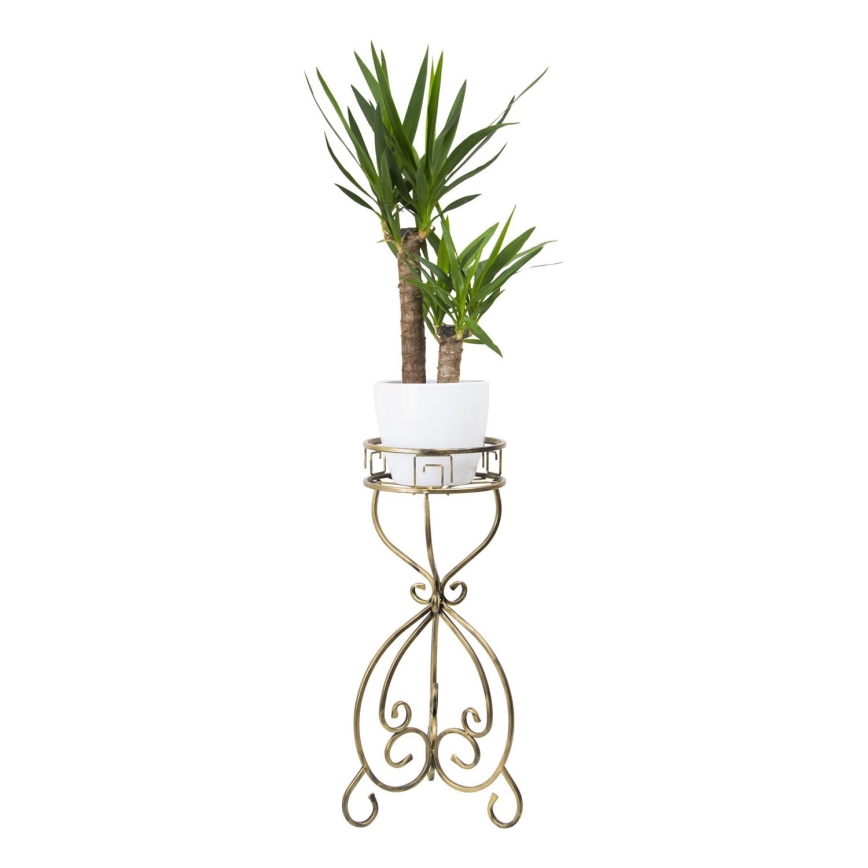 Jardinière 76x32 cm doré