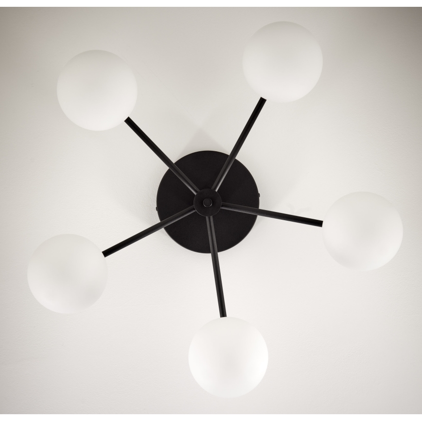 Jupiter 2049 - Plafonnier PRATO 5xG9/14W/230V noir/blanc