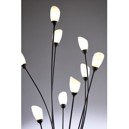 Jupiter 2058 - Lampadaire GLORIOSA 9xG9/14W/230V noir