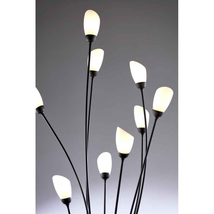 Jupiter 2058 - Lampadaire GLORIOSA 9xG9/14W/230V noir