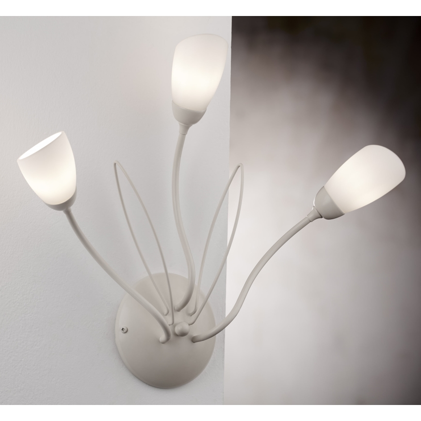 Jupiter 2064 - Applique murale GLORIOSA 3xG9/14W/230V crème