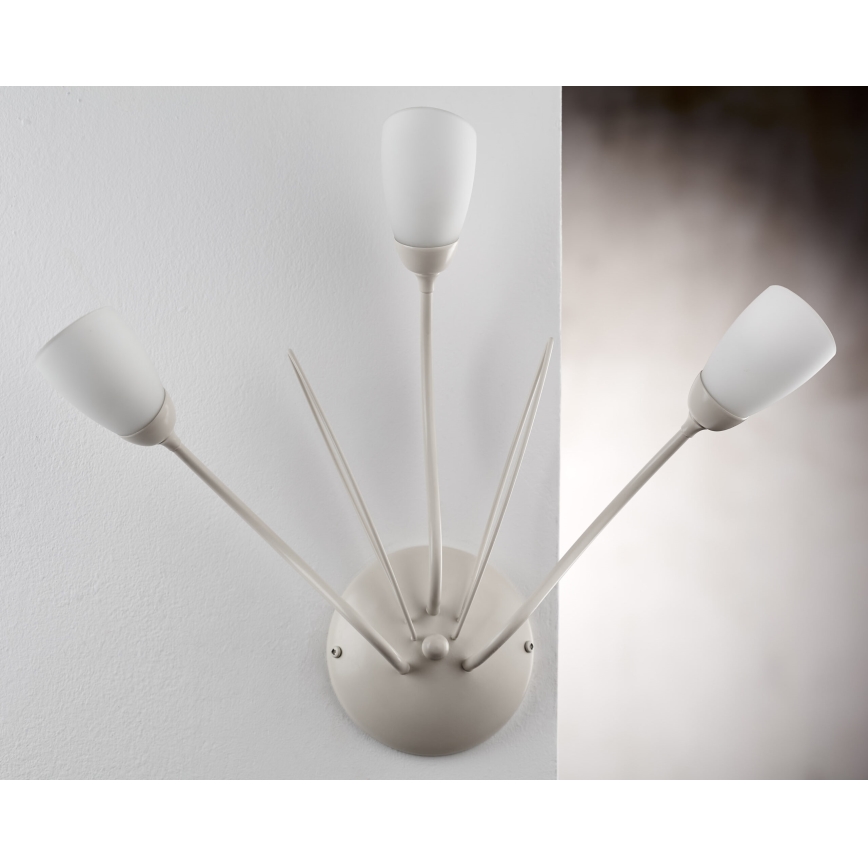 Jupiter 2064 - Applique murale GLORIOSA 3xG9/14W/230V crème