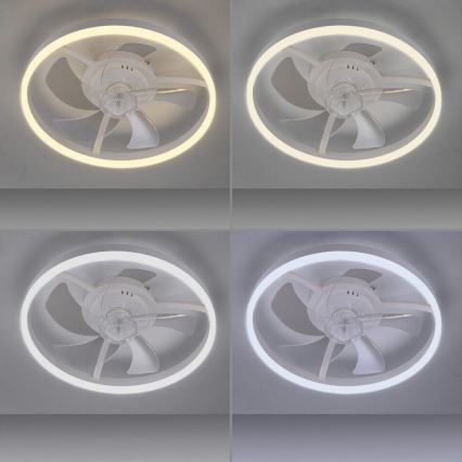 JUST LIGHT. 14624-16 - Ventilateur de plafond dimmable LED avec éclairage RITA LED/22W/230V 3000-6000K Ø 50 cm blanc + télécommande